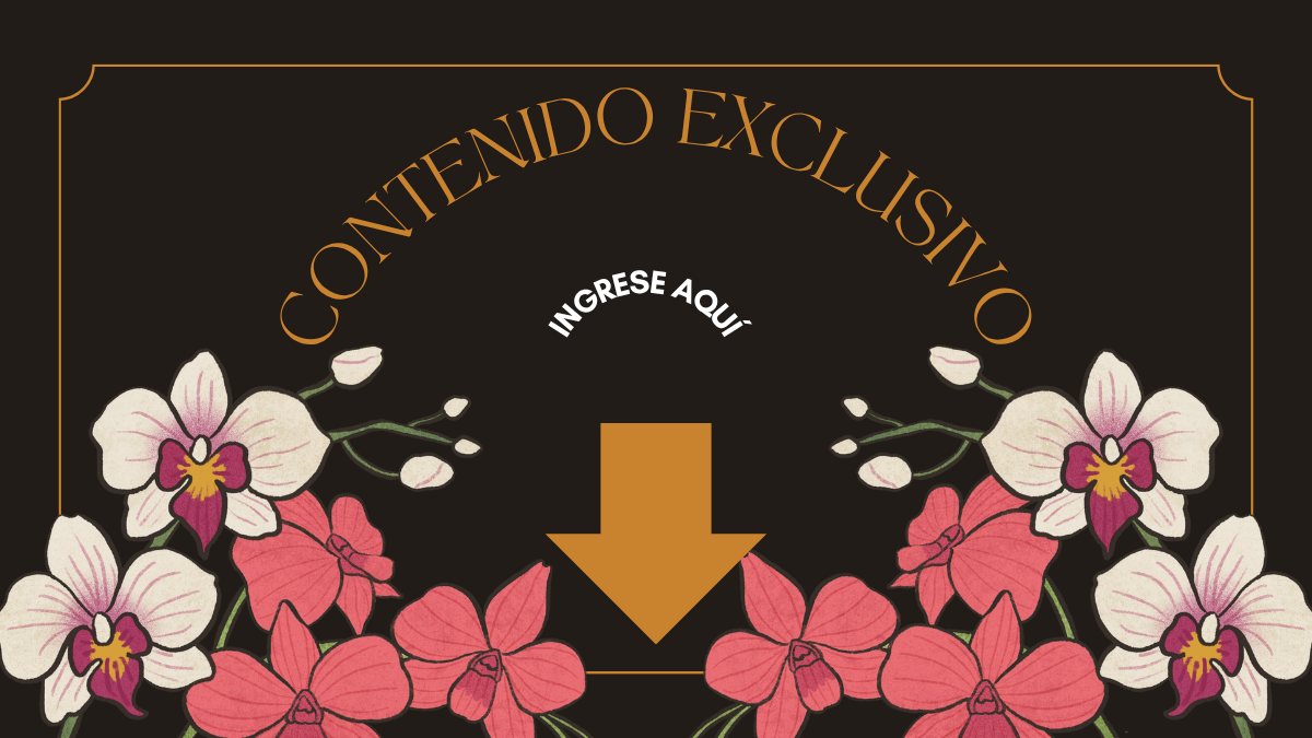 Contenido exclosvio 2